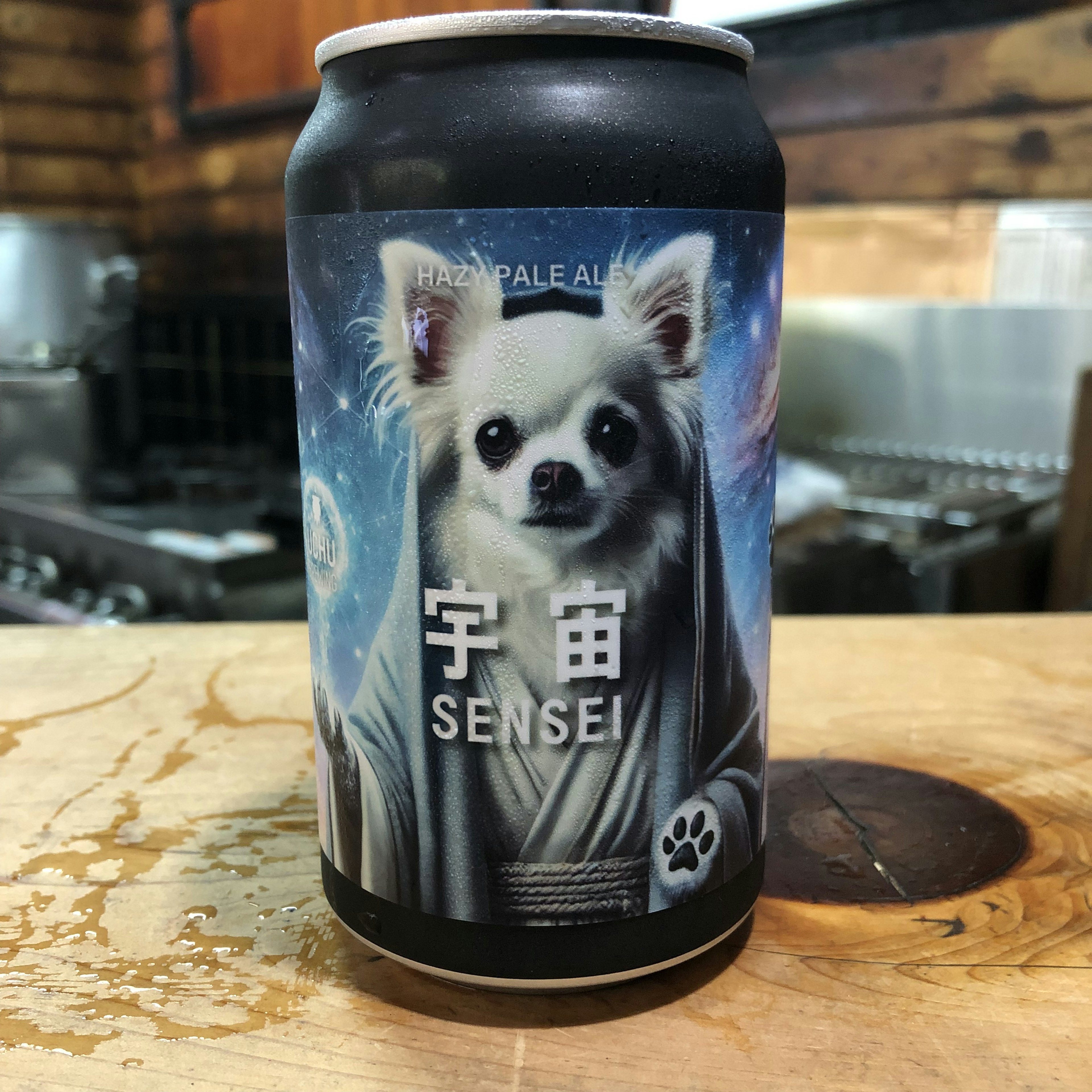 宇宙SENSEI