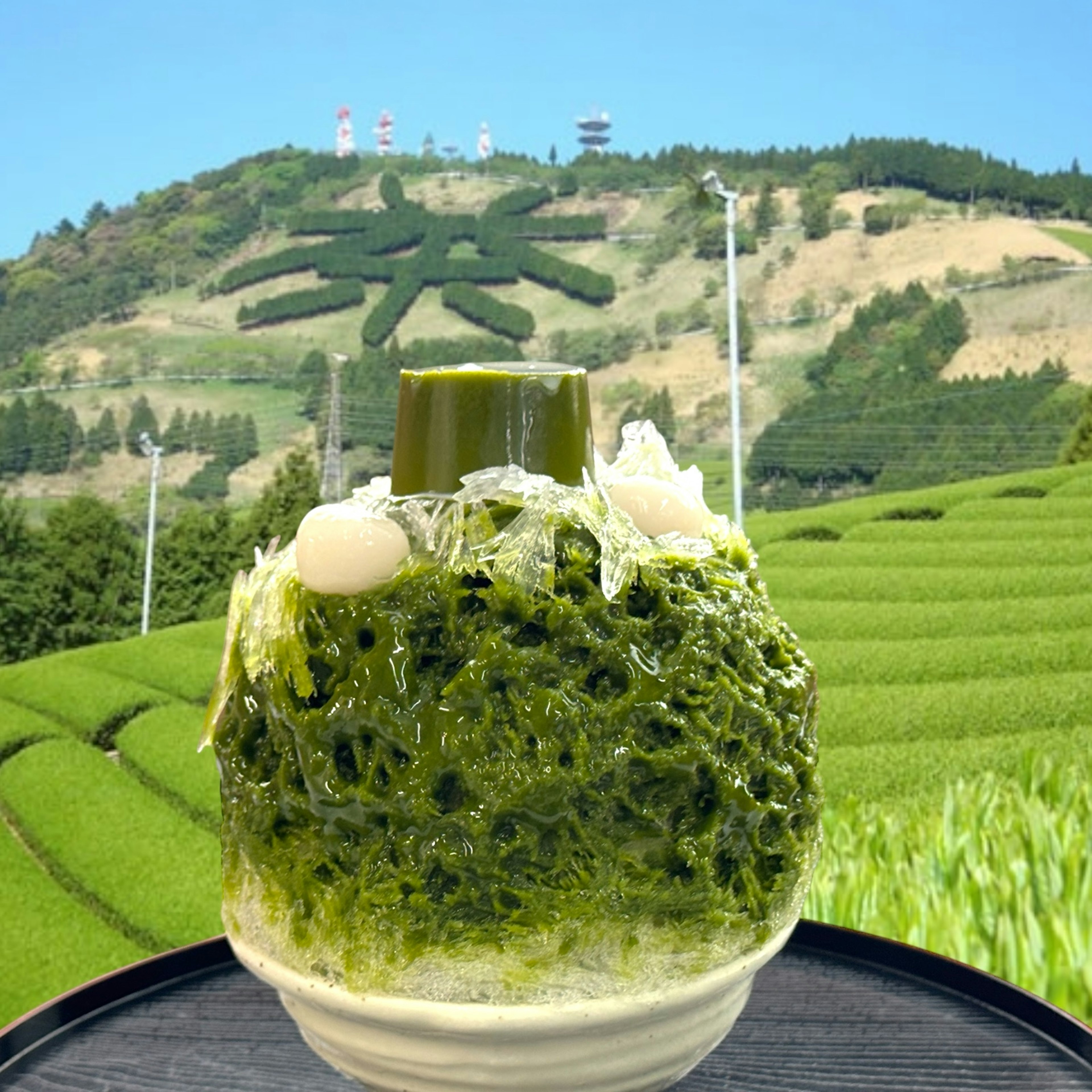 とろりん茶氷with山啓(掛川緑茶)