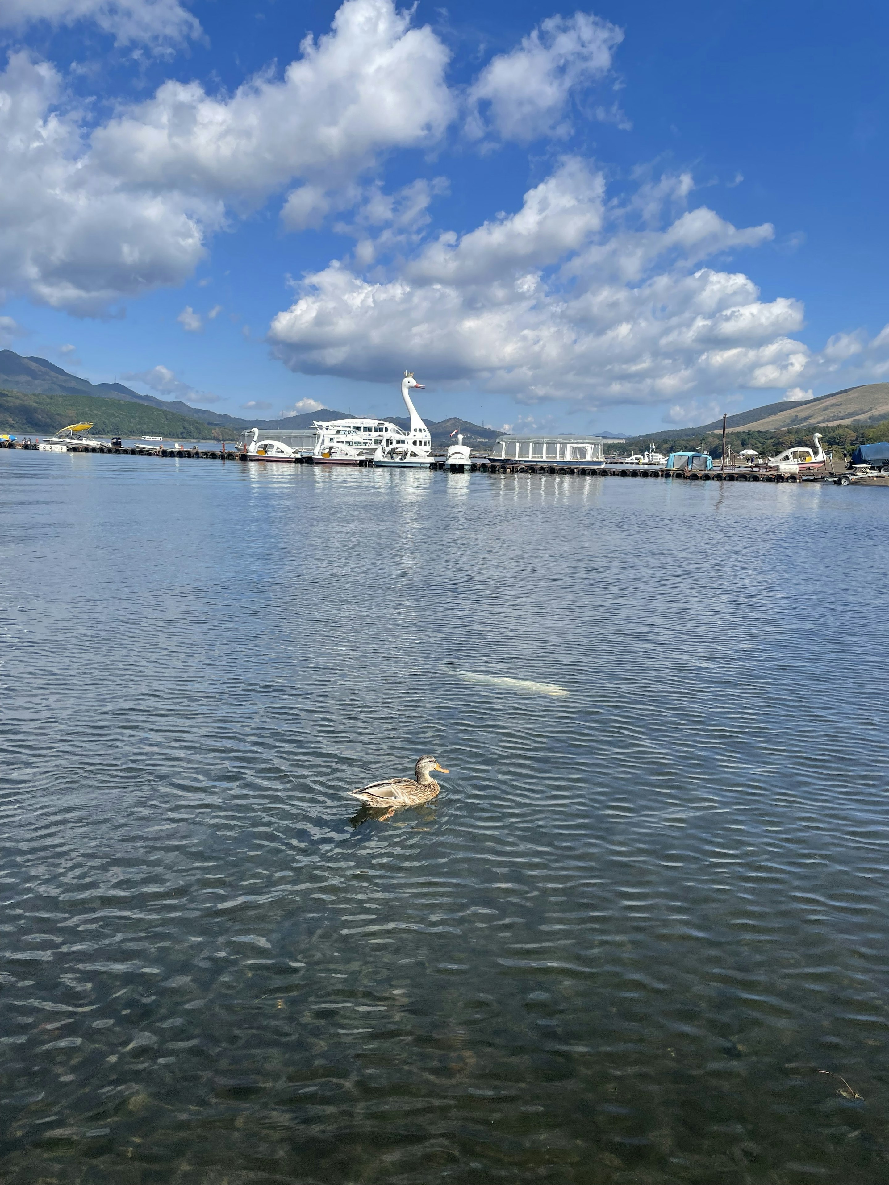 lake mix