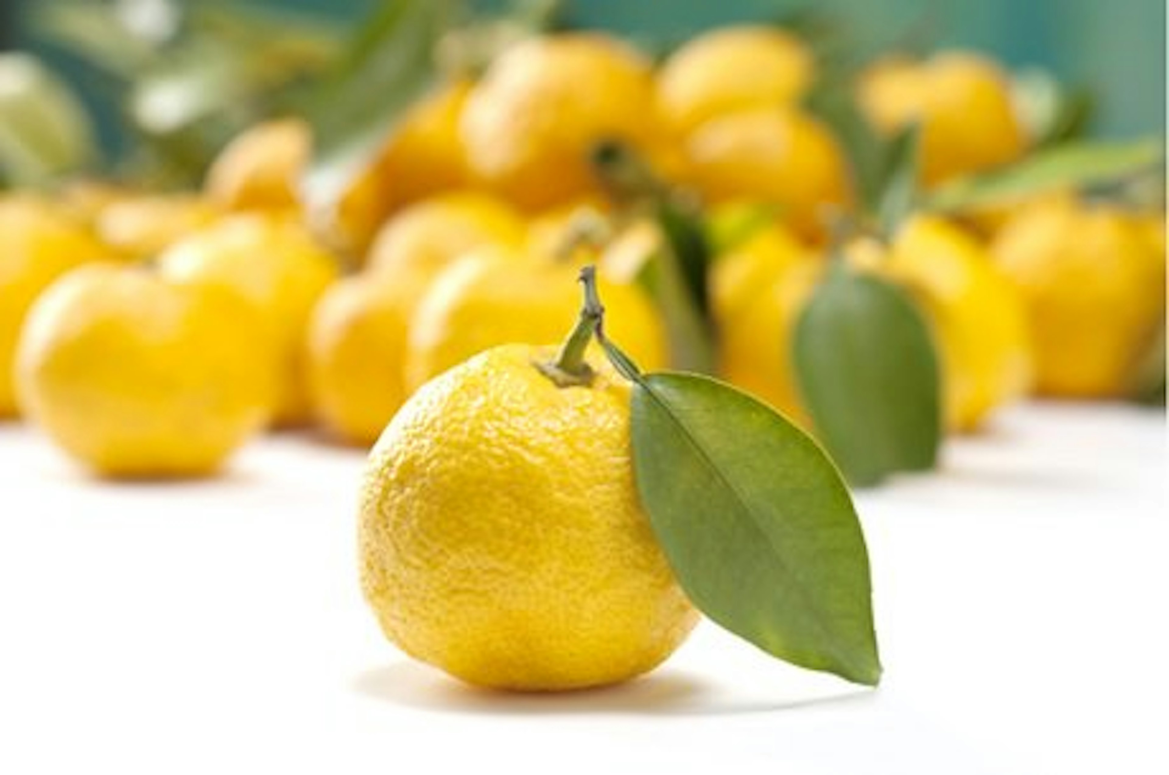Yuzu plum