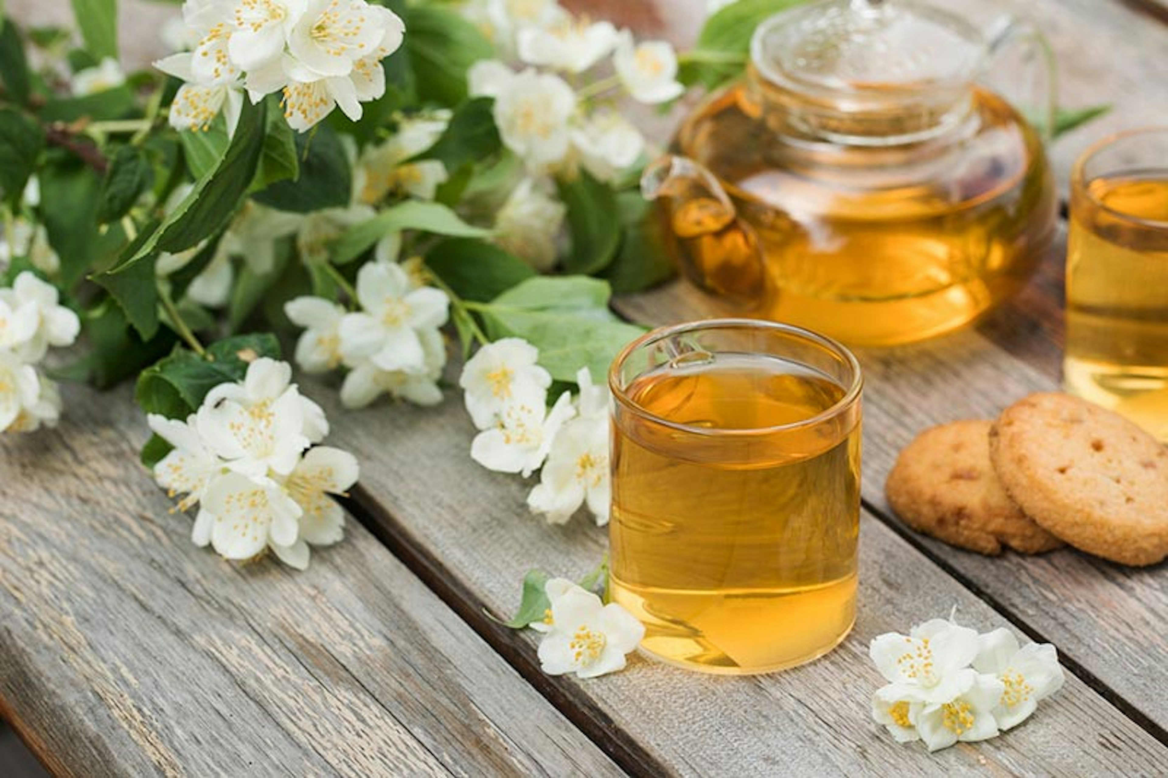 Jasmine tea